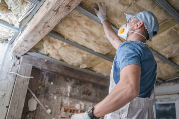 Best Cellulose Insulation in Crystal Lake, IL