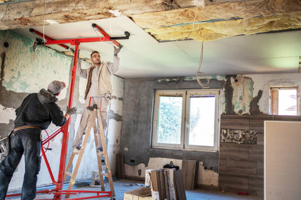 Best Insulation Maintenance and Repair in Crystal Lake, IL