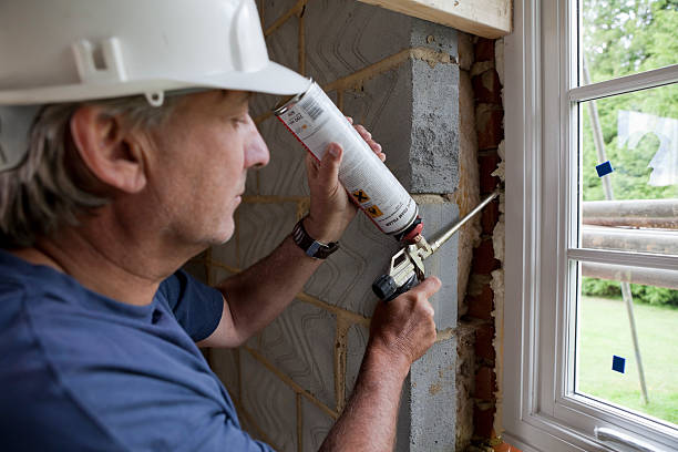Best Specialized Insulation Services in Crystal Lake, IL